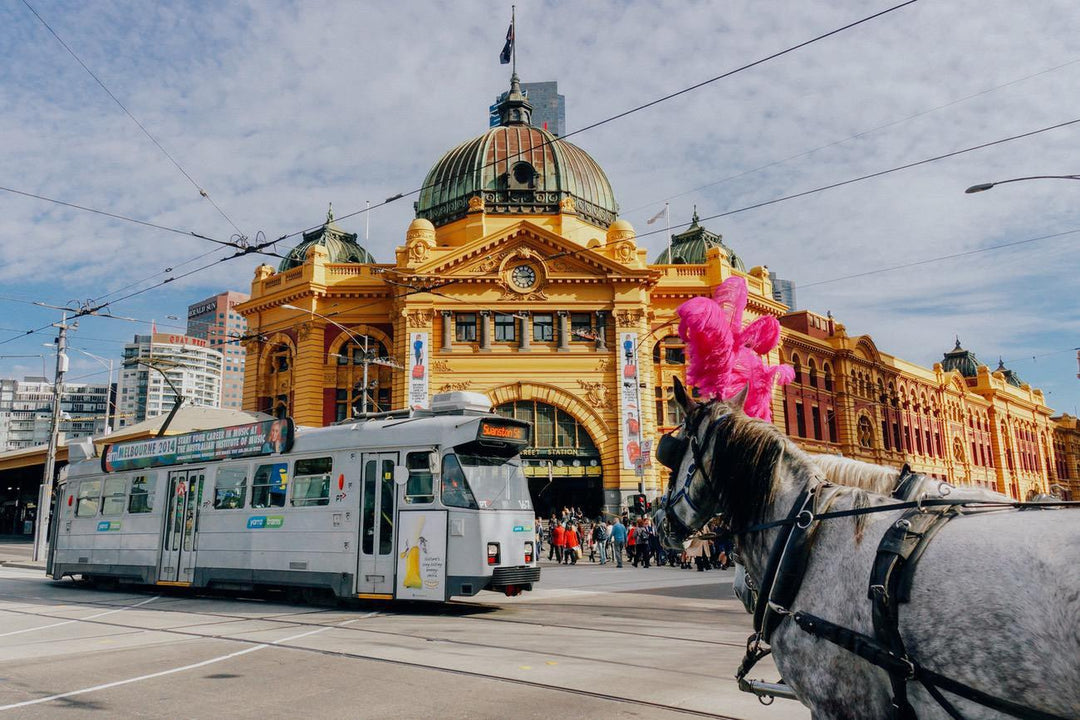 Fun Activities for Kids in Melbourne-Paint Juicy - Paint and Sip